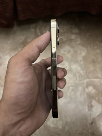 Apple iPhone 13 Pro