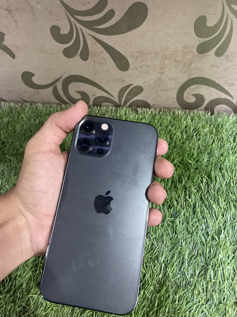 Apple iPhone 12 1