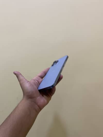 Apple iPhone 13 Pro Max FU 90 health