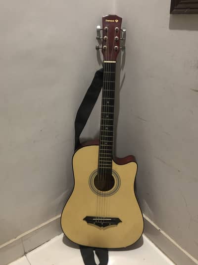 Acoustic Guitar