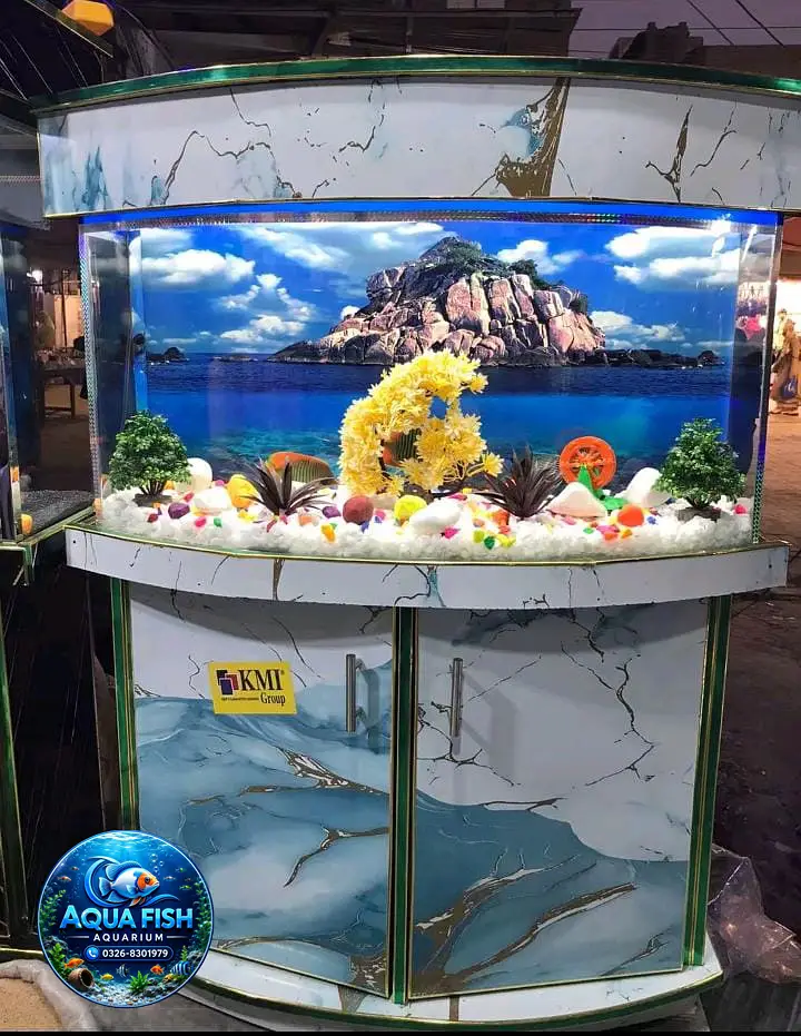Fish aquarium Munasib price par 03268301979