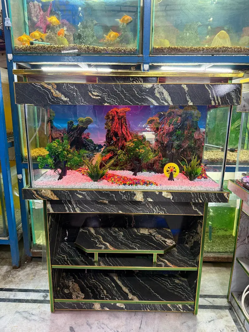 Fish aquarium Munasib price par 03268301979 — photo 6