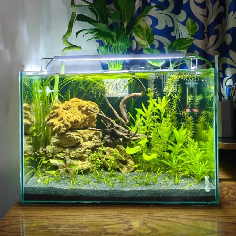 Fish aquarium Munasib price par 03268301979 — photo 9