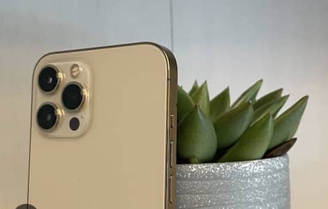 Apple iPhone 12 Pro Max