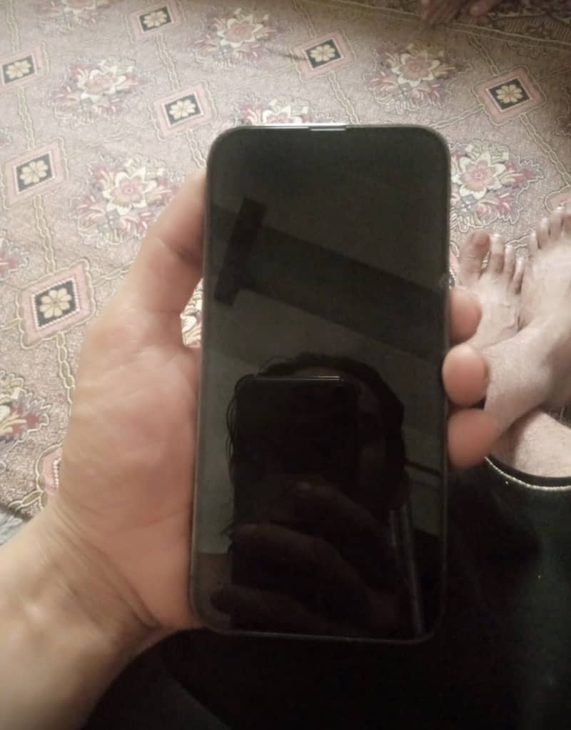 Apple iPhone 13 Pro Max 1