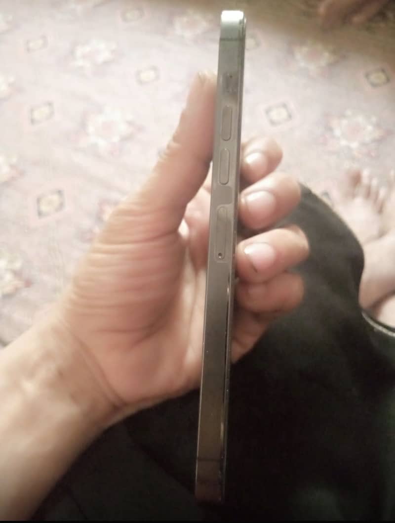 Apple iPhone 13 Pro Max 3