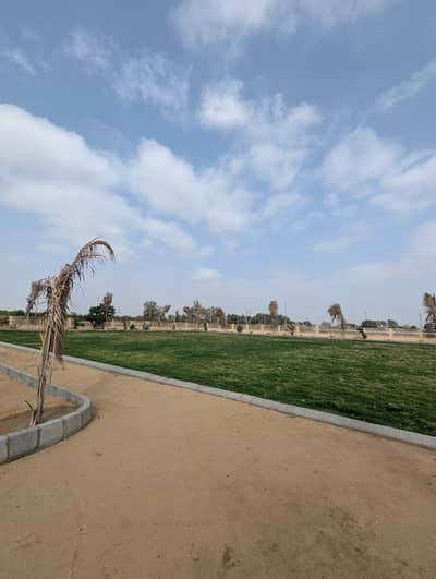 Plot For Sale In Qasimabad City Phase 3 Installment Plan 6 Months