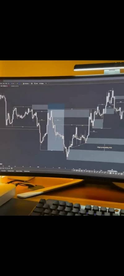  Grow Your Money with a Forex Trading Partner