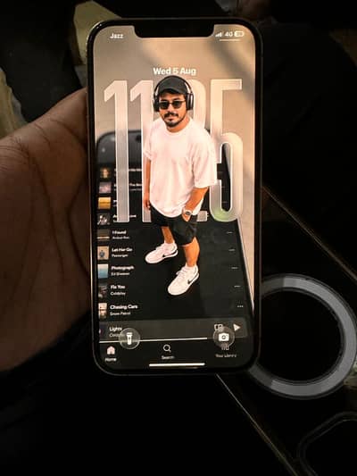 Apple iPhone 12 Pro Max dual physical