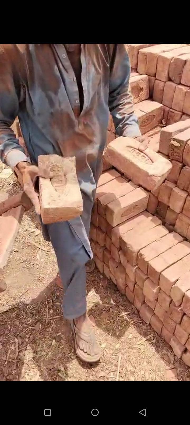 bricks  available 11