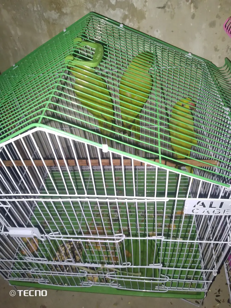 for sale per pic fianl 3200 — photo 2