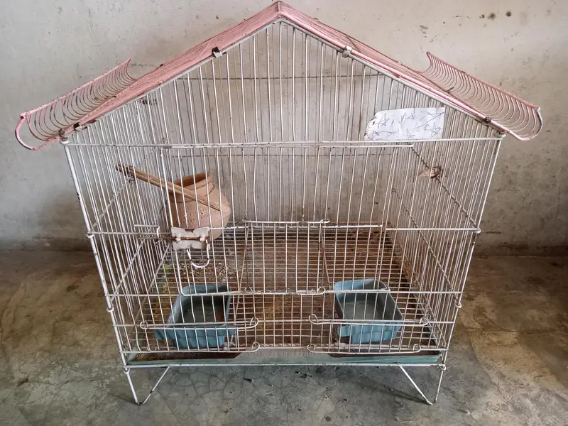 cage for sale