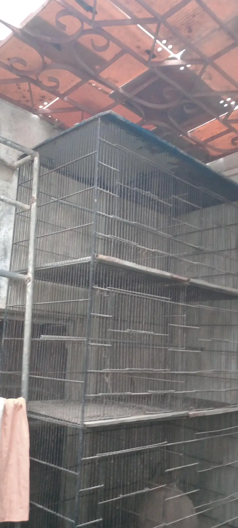 cage for sell — photo 2