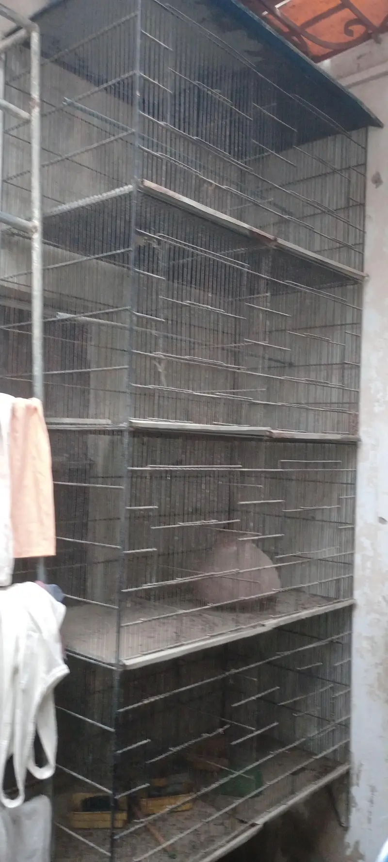 cage for sell — photo 4
