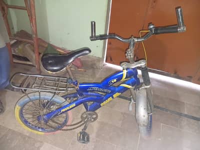 Bicycle For Kids