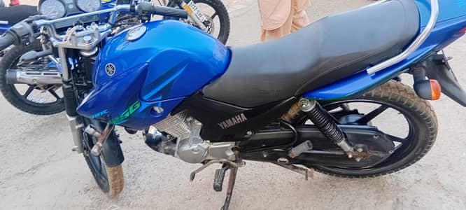 bike neat and clean 10/10