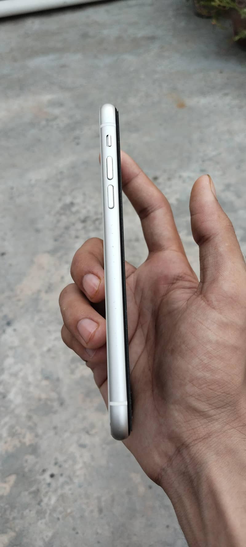 Apple iPhone 11 3