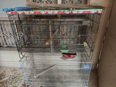 2 cages available for sales