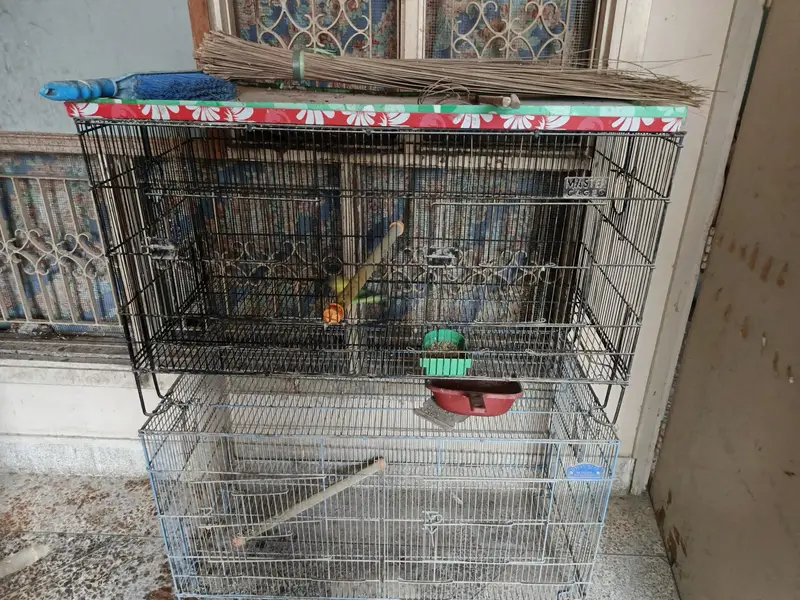 2 cages available for sales — photo 3