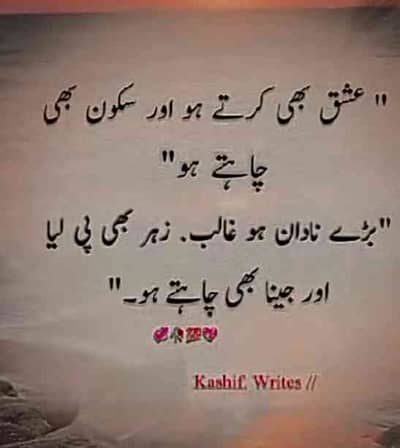 pindi boy