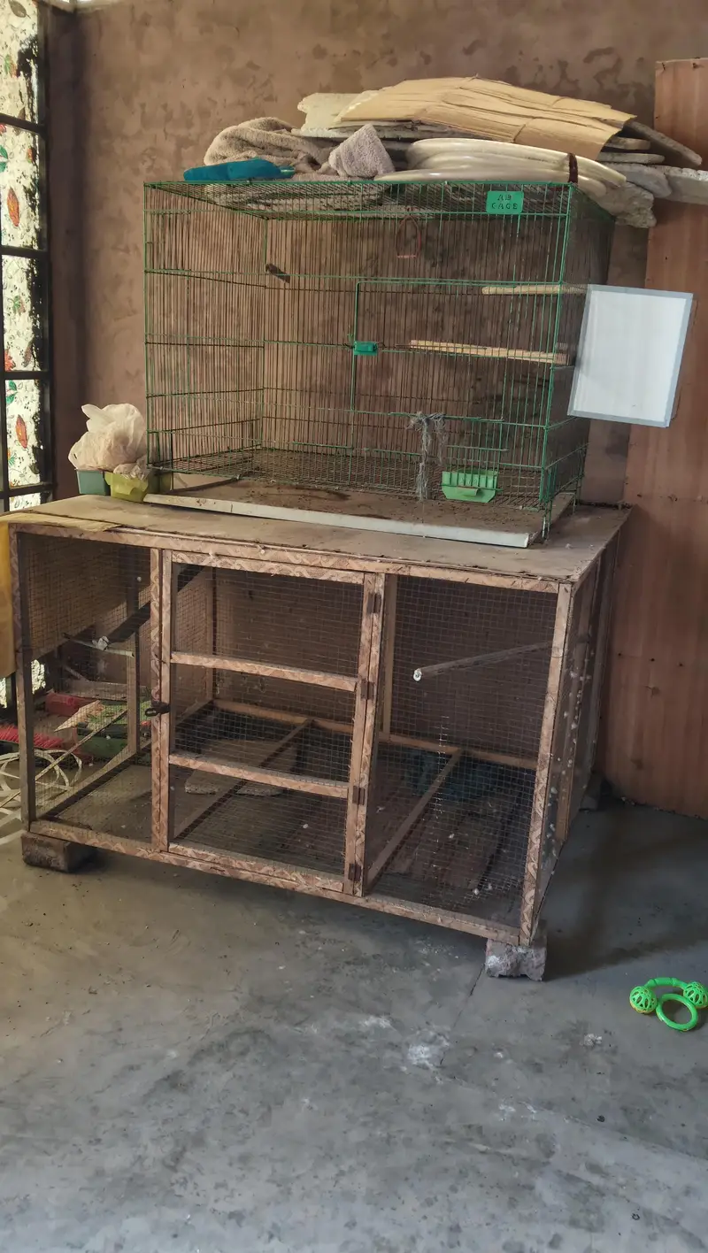 2 Large Cage's + 1 Box for Sale