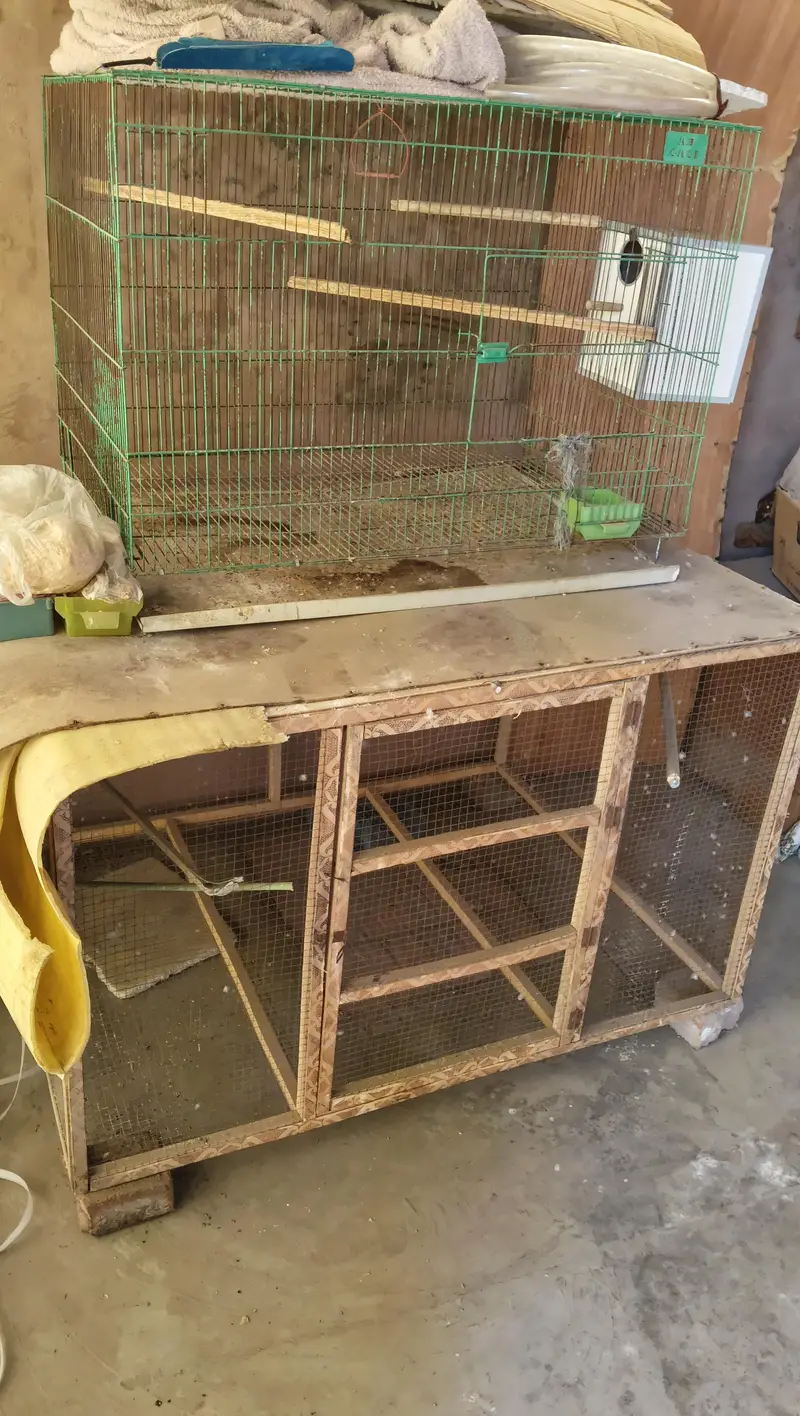 2 Large Cage's + 1 Box for Sale — photo 2