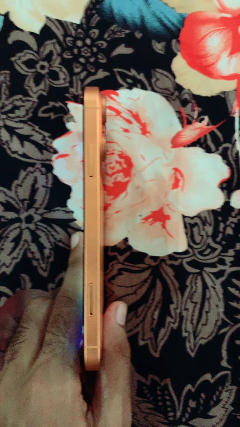 Apple iPhone 11 5