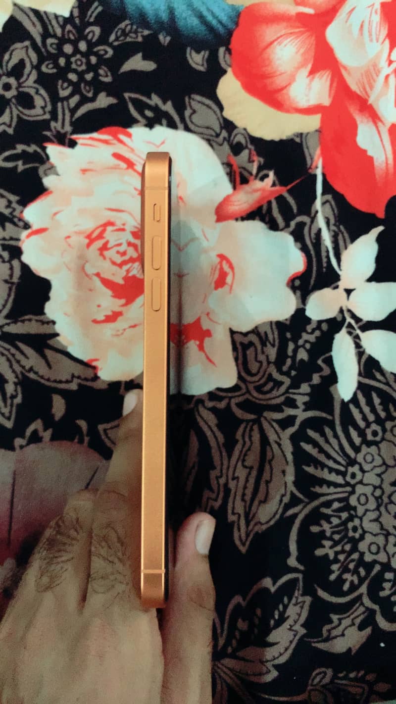 Apple iPhone 11 6