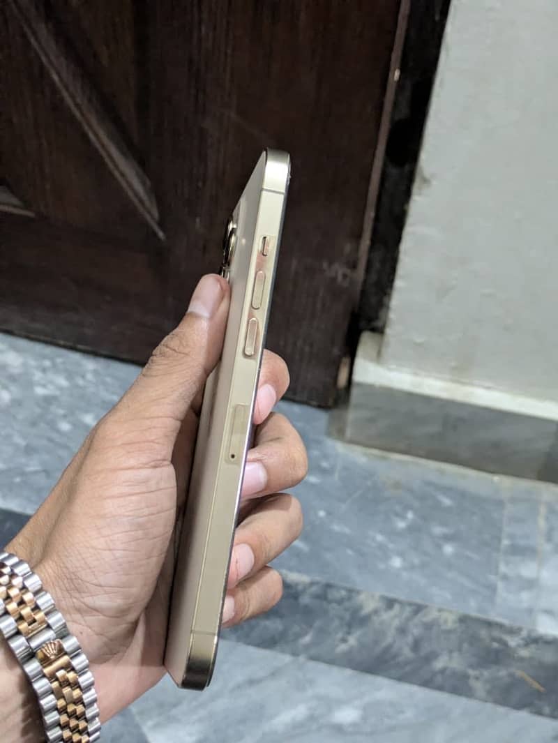 Apple iPhone 12 Pro Max 1