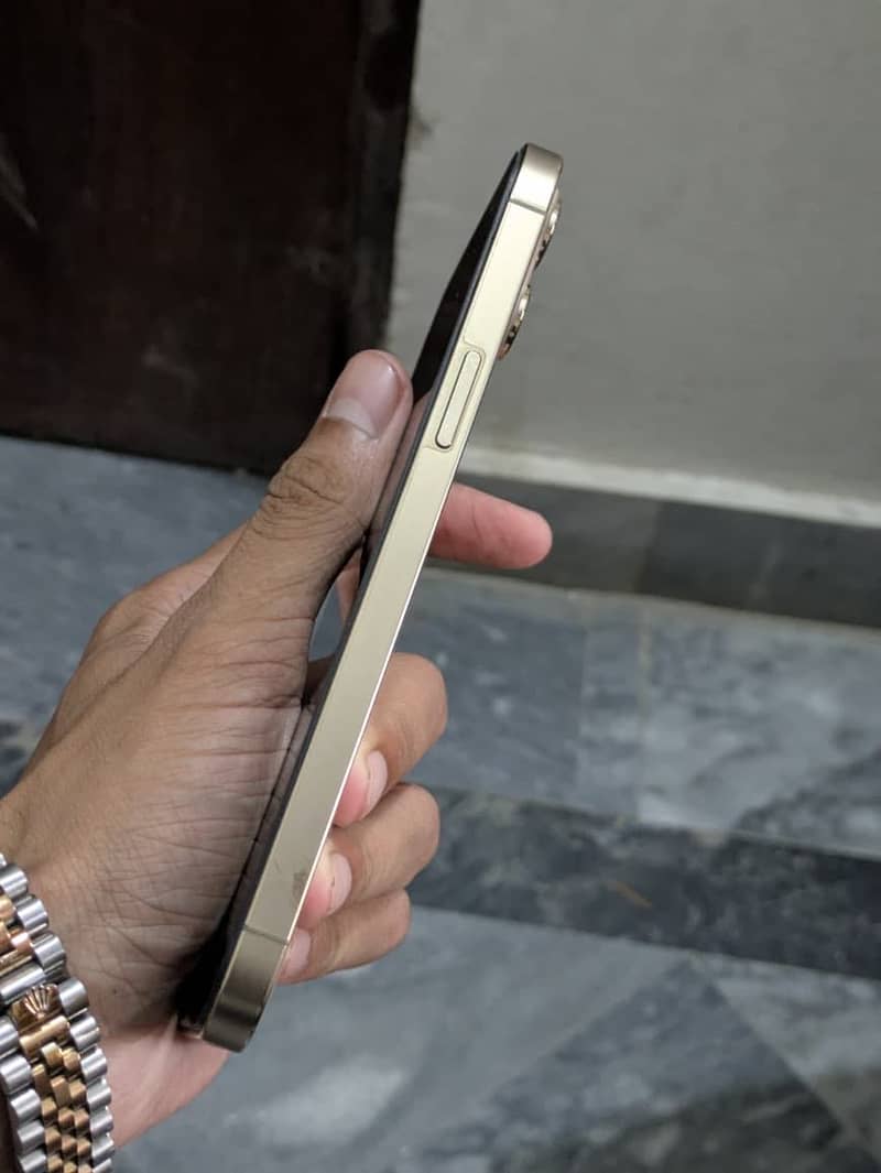 Apple iPhone 12 Pro Max 2