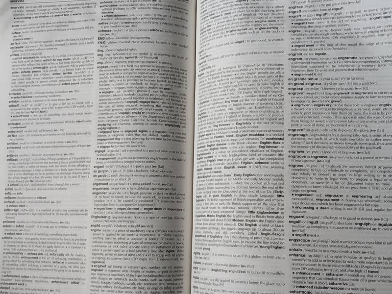 The Chambers Dictionary 3