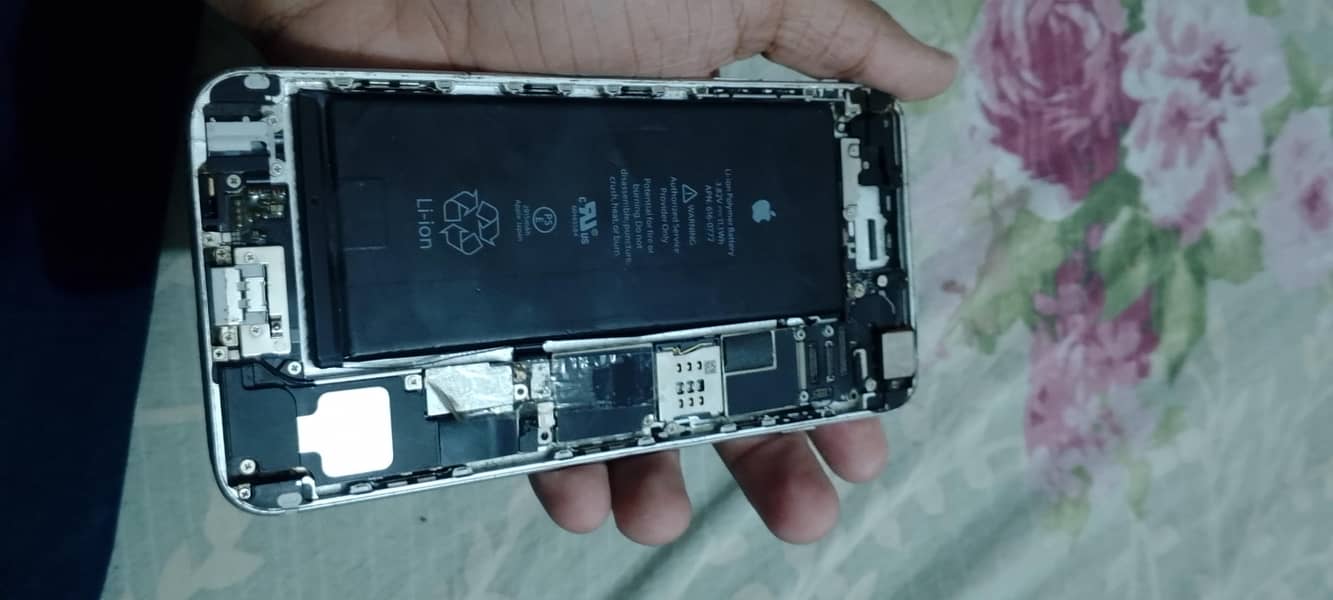 iPhone 6 Plus 1