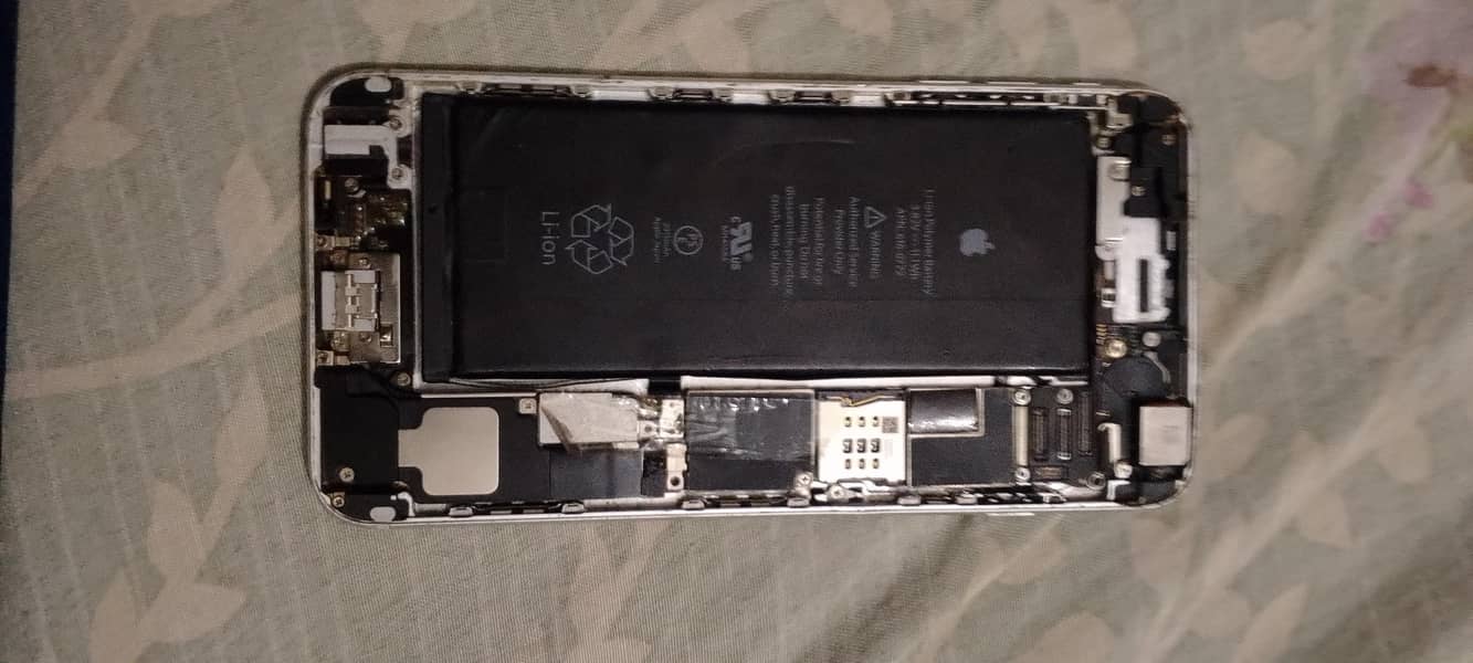 iPhone 6 Plus 6