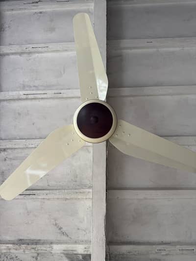 Crystal Eco Max 30 watt