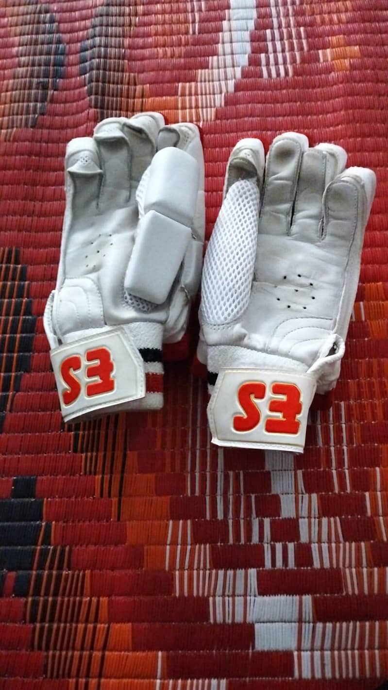 cricket kit 1