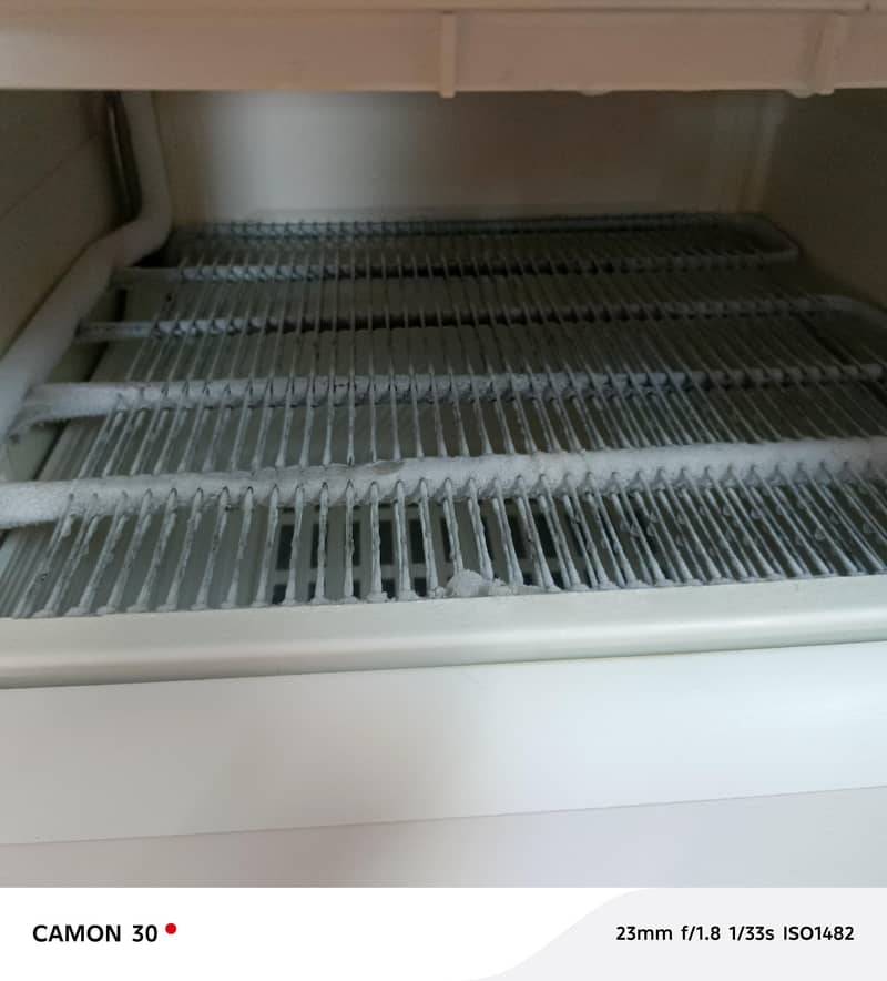 freezer 1