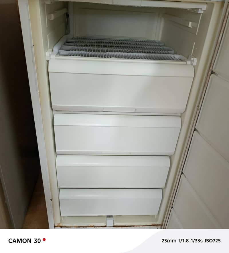freezer 2