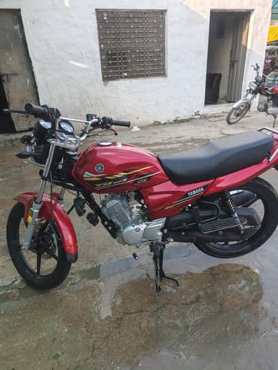 urgent sell beautiful bike