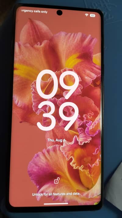 pixel 6 pro