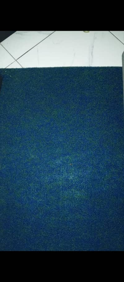 Carpet for sell