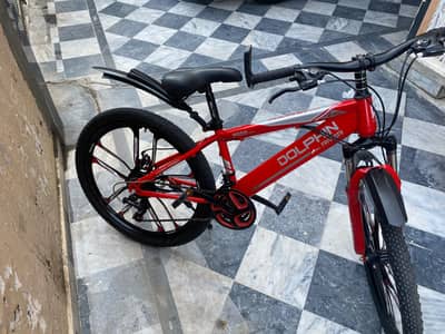 Dolphin Bicycle