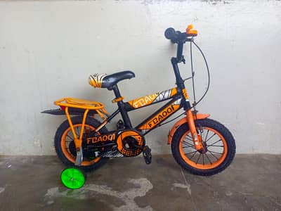 FBAQI IMPORTED CYCLE - 12 SIZE - 0320/2257/271