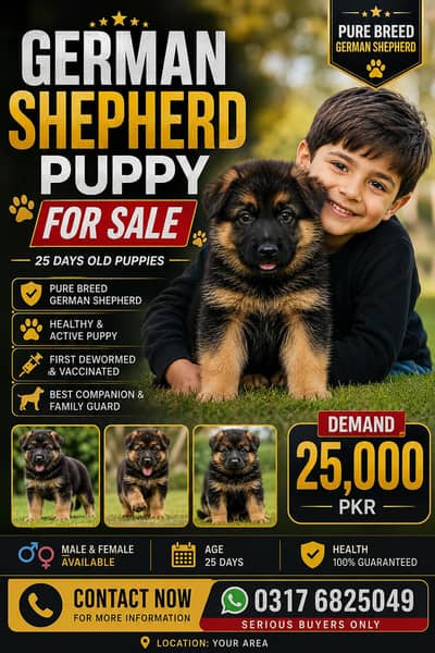 German shepherd Puppy