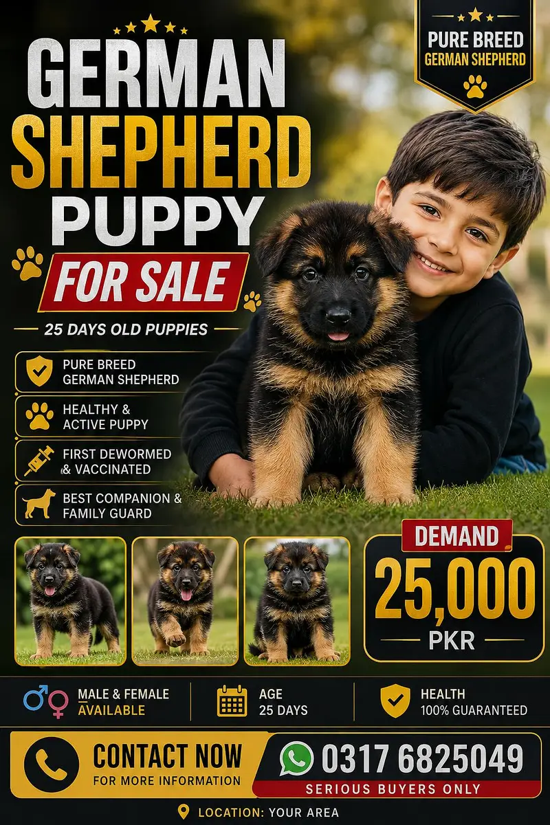 German shepherd Puppy