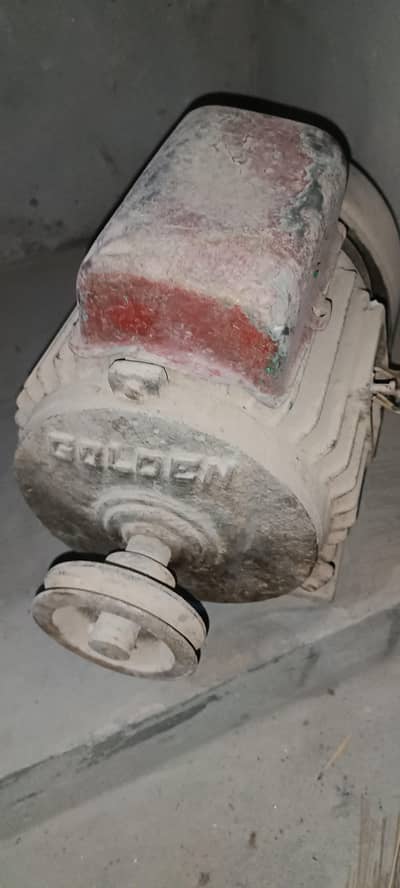 Golden 2-horsepower heavy-duty Motor