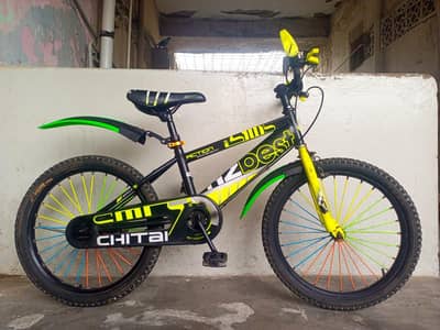 CHITAI IMPORTED CYCLE - 18 SIZE - 0320/2257/271