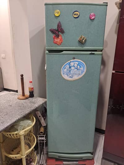 pel medium size refrigerator