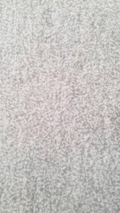 Light brown carpet in good condition. washed & cleaned.