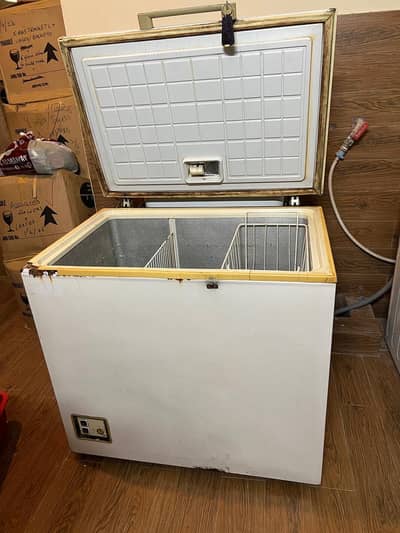 Deep Freezer for Sale