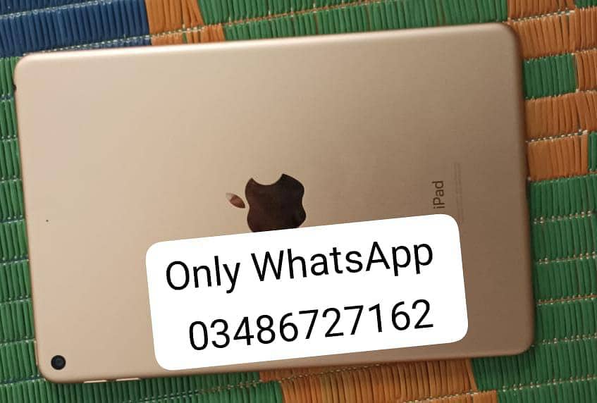 iPad mini 5 0